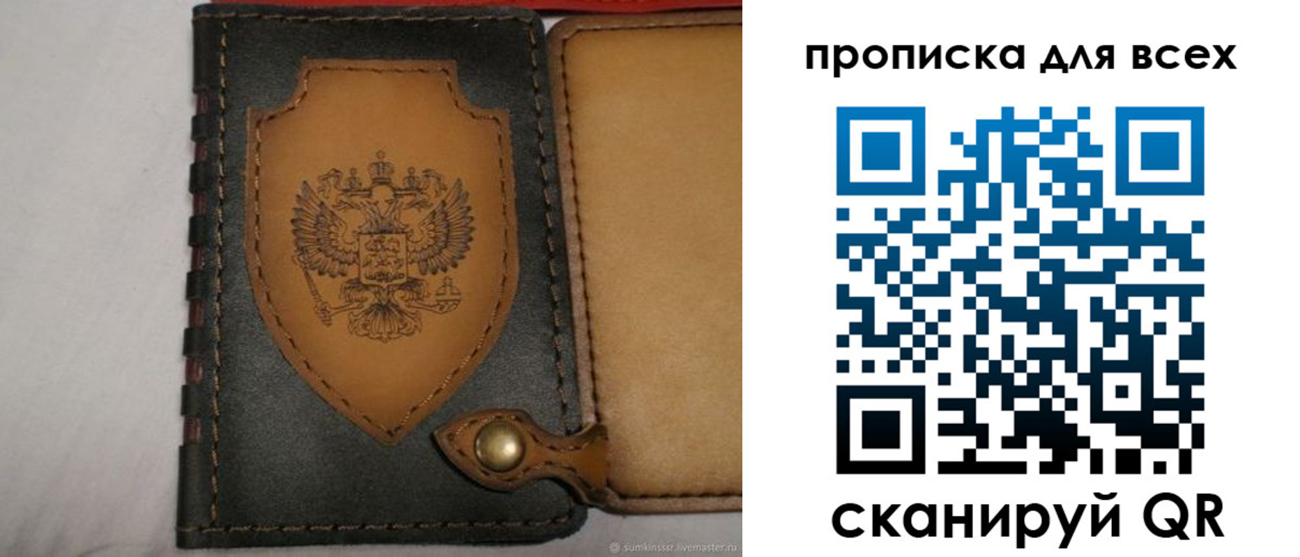 прописка для школы в Архангельской области
